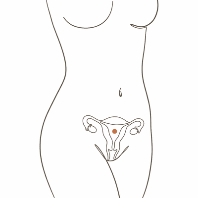 Line drawing of a woman's torso at 10 weeks pregnant, showing the growing uterus rising toward the rim of the pubic bone