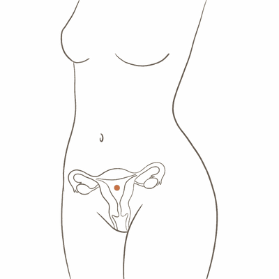 Line drawing of a woman's torso at 11 weeks pregnant, showing the enlarged uterus filling the pelvis and a flat abdomen