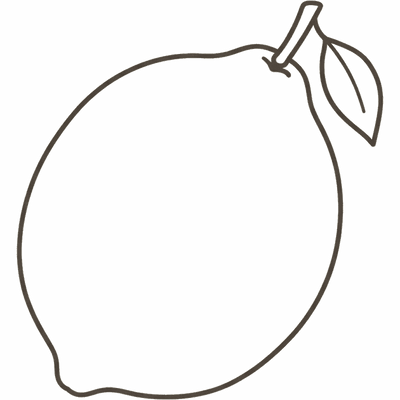 Line illustration of a lime: at 12 weeks pregnant your baby is about the size of a lime, roughly 6cm
