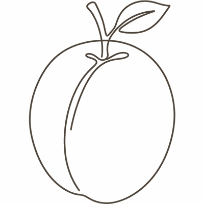Line illustration of a plum: at 13 weeks pregnant your baby is about the size of a plum, roughly 6.4 to 7.6cm