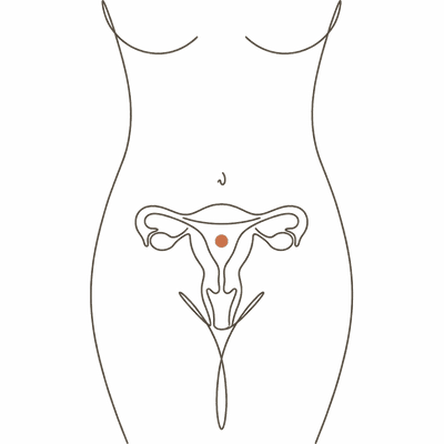 Line drawing of a woman's torso at 19 weeks pregnant, showing the uterus risen close to the navel with a rounded bump