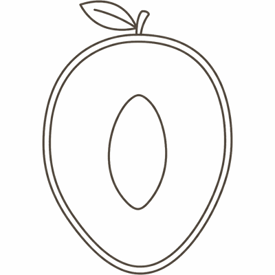 Line illustration of a halved mango with its flat stone: at 19 weeks pregnant your baby is about the size of a mango, roughly 14 to 16cm crown to rump