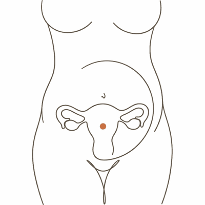 Line drawing of a woman's torso at 21 weeks pregnant, showing the uterus risen past the navel
