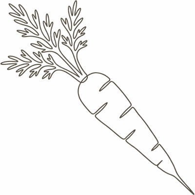 Line illustration of a carrot: at 21 weeks pregnant your baby is about the size of a carrot, roughly 16 to 19cm crown to rump