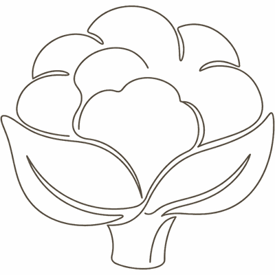 Line illustration of a cauliflower: at 25 weeks pregnant your baby is about the size of a cauliflower, roughly 21 to 23cm crown to rump