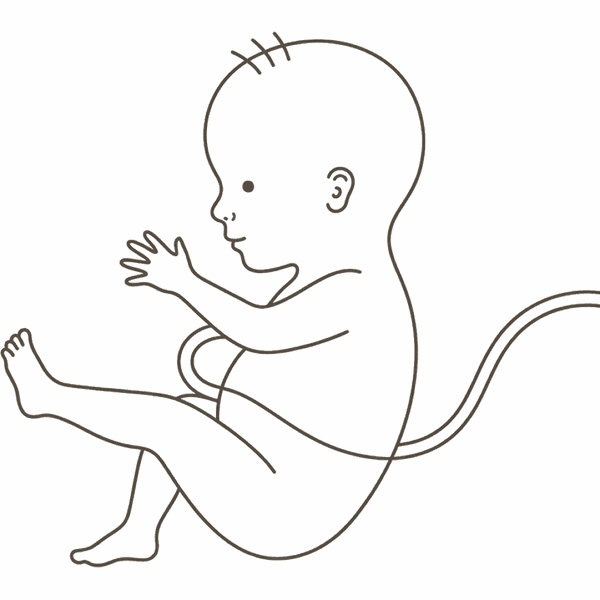 Line drawing of a 29-week foetus kicking and stretching with an open hand, learning to grasp