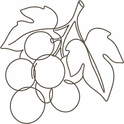 Line illustration of a small bunch of grapes: at 7 weeks pregnant your baby is about the size of a grape, roughly 10mm