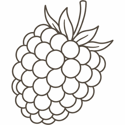 Line illustration of a raspberry: at 8 weeks pregnant your baby is about the size of a raspberry, roughly 16mm