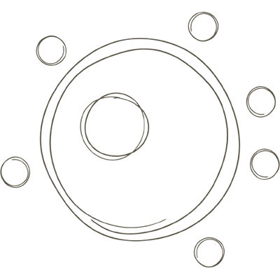 Line illustration of an ovarian follicle among smaller follicles: at 1 week pregnant there is no embryo yet, only an egg beginning to ripen