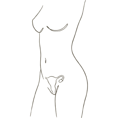 Side view of a woman's torso at 1 week pregnant, showing the uterus low in the pelvis at normal size with a flat abdomen