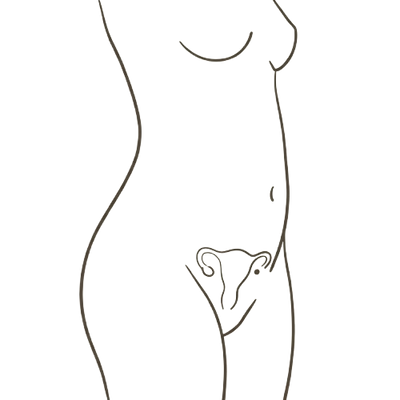 Minimal black line art illustration of a female torso with a stylized anatomical drawing near the upper thigh area, on a plain white background.